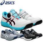 CP309